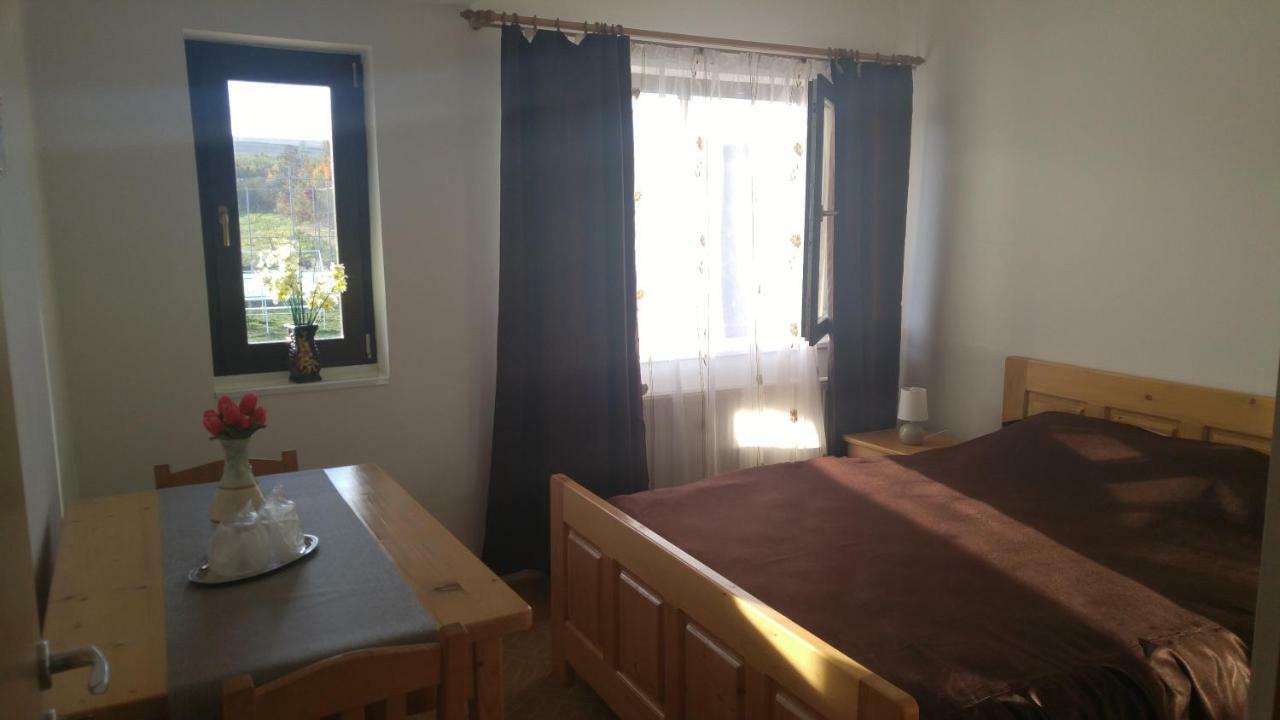 מלון Oteleni Pensiunea Casa Vanatorului מראה חיצוני תמונה