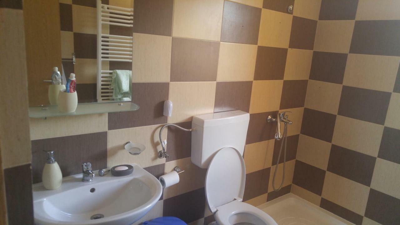 מלון Oteleni Pensiunea Casa Vanatorului מראה חיצוני תמונה