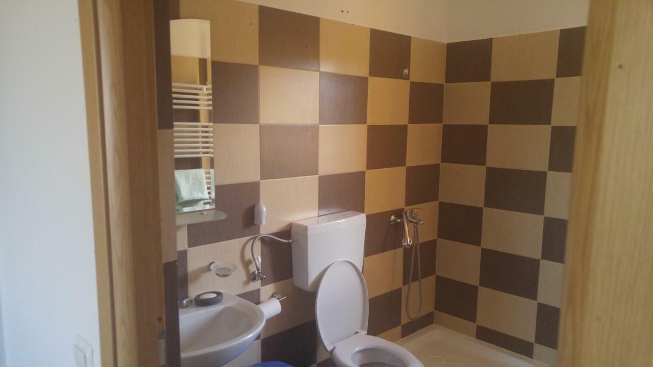 מלון Oteleni Pensiunea Casa Vanatorului מראה חיצוני תמונה