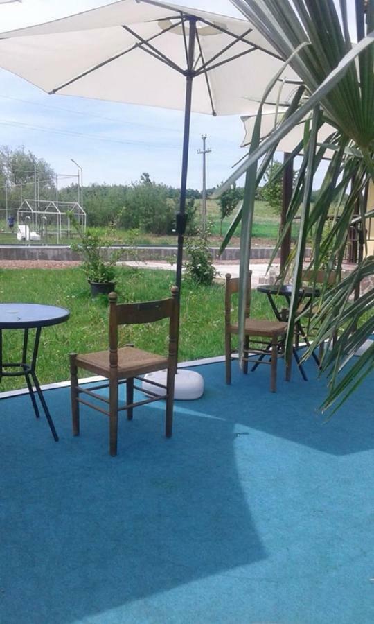 מלון Oteleni Pensiunea Casa Vanatorului מראה חיצוני תמונה